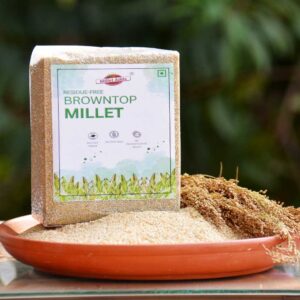Browntop Millet - Agrozee Organics