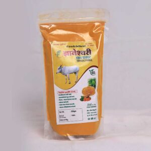 Dyaneshwari Organic Turmeric (Haldi) Powder 250gm Front Pack Shot